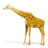 giraffe Icon